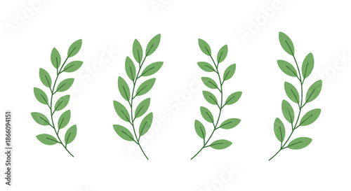Set of four decorative green leafy branches with simple leaves arranged vertically in a clean and natural botanical illustration.