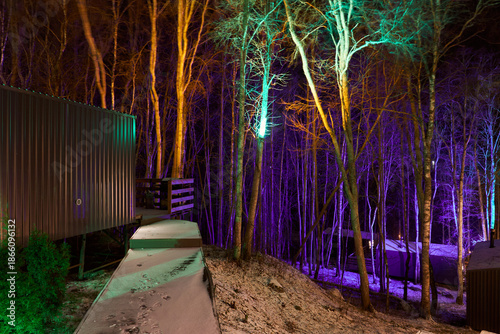 Fotografija Vivid tree lighting around cabin creates spectacular winter festival scene