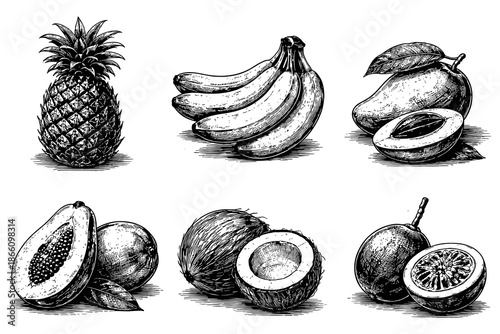 Hand drawn tropical fruits: pineapple, banana, mango, papaya, coconut, passion fruit