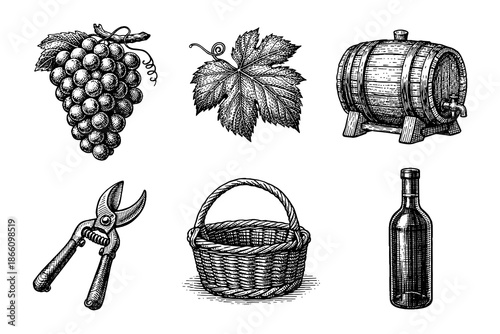 Vintage winery elements: grapes, barrel, tools, and wine bottle in retro style