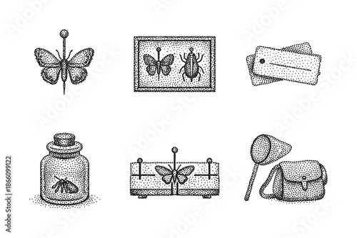 Stippled butterfly and insect collection with vintage entomology tools