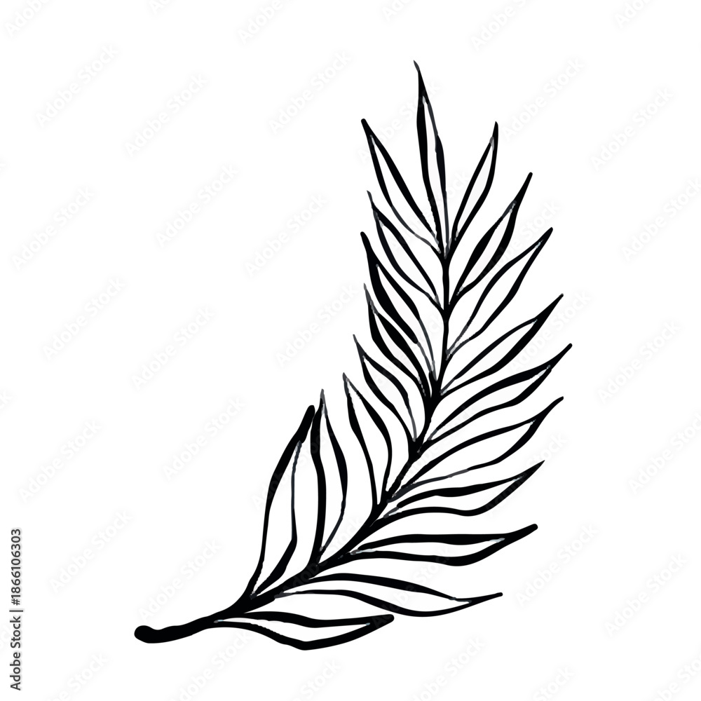 Fototapeta premium Vector line illustration of tropical palm leaf branch isolated on white background, clean botanical graphic ideal for logos, prints, packaging, posters and modern minimalist design projects.