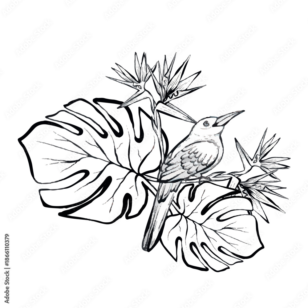 Obraz premium Hoopoe bird on branch with monstera leaves and tropical foliage vector line illustration, isolated on white background, botanical wildlife graphic for logos, prints, packaging, posters and branding.