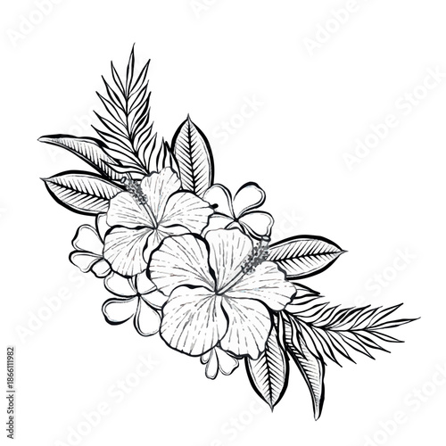 Vector line illustration of tropical floral composition with plumeria flowers and palm leaves, on white background, clean botanical graphic for logos, prints, packaging, posters and modern design.