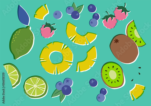 Cute vector fruit illustration set in an art print style featuring kiwi, lime, pineapple slices, blueberries, and raspberries.