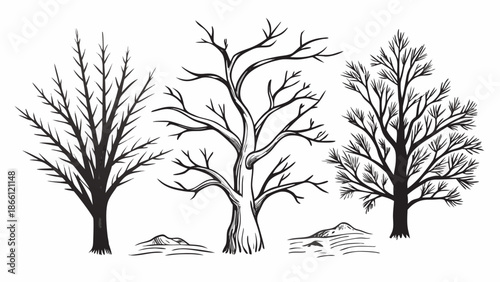 Very beautiful winter tree silhouette vector set showing bare deciduous and pine trees, ideal for leafless forest scenes, seasonal nature artwork, outdoor illustrations, and clean minimalist winter la