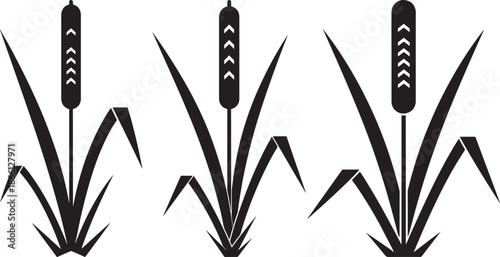 Silhouette of cattails reeds plant marsh vegetation