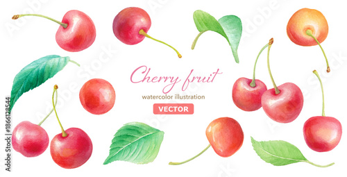 水彩のさくらんぼと葉のイラストセット　装飾素材
（ベクター）