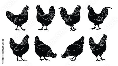 Black chicken silhouettes collection showing farm poultry hens and roosters isolated on white background vector illustration rural animal design set
