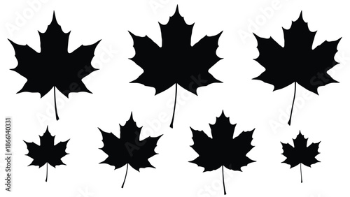 Set of black maple leaf silhouettes vector collection isolated autumn foliage icons minimalist nature design elements for seasonal branding