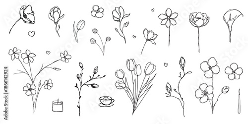 Hand drawn flowers. Doodle flowers and a bouquets of flowers. Floral set