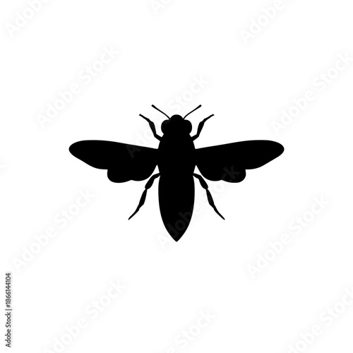 Black fly insect vector illustration, flat design on white background