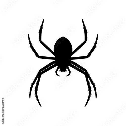 Black widow spider silhouette on white background vector illustration