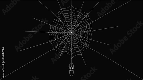 Intricate white spider web with a small spider hanging from the bottom center against a solid black background.