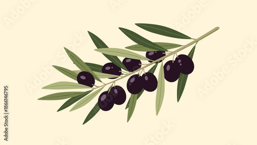 Elegant illustration of an olive branch with green leaves and ripe dark purple olives on a light cream background.