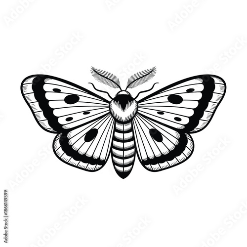 Black and white illustration of a butterfly with distinctive markings