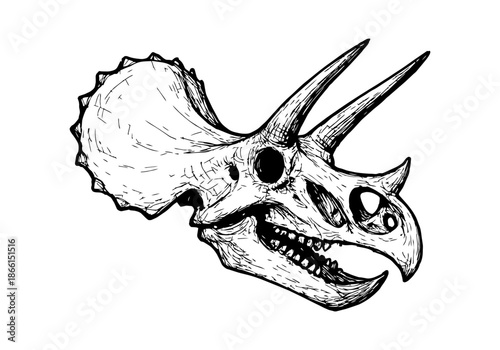 Triceratops hand drawn simple sketch vector illustration