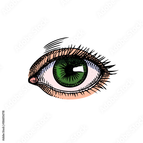 Sketch isolated human eye. Medical aesthetic, dermatology, plastic surgery, beauty salon, cosmetics, skincare concept. Hand drawn vector illustration.