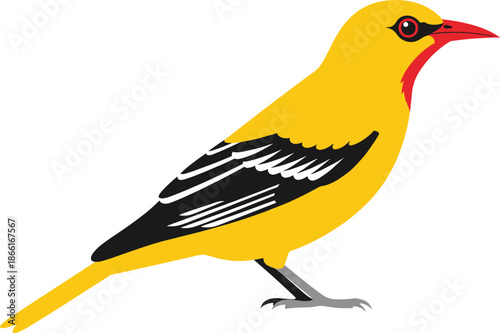 Yellow bird vector illustration with black wings perched songbird wildlife nature design isolated on white background