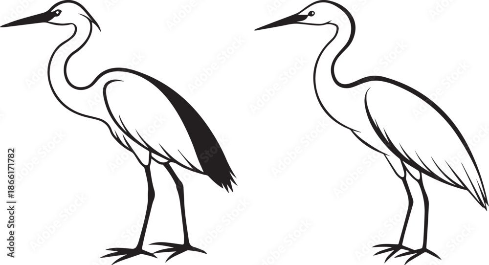 Obraz premium Crane Bird Pair Vector | Elegant Wading Bird Line Art