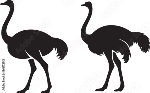 Ostrich Silhouette Set | Wildlife Bird Vector Design