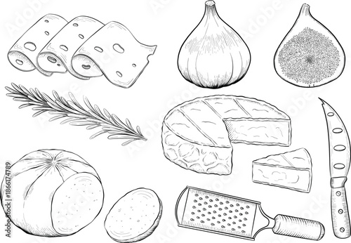 Collection of cheese, brie, camember, parmesan and blue cheese, European cheese assortment, slices, black ink engraving drawing, isolated, transparent. Wine bottle and glass, grape and fig