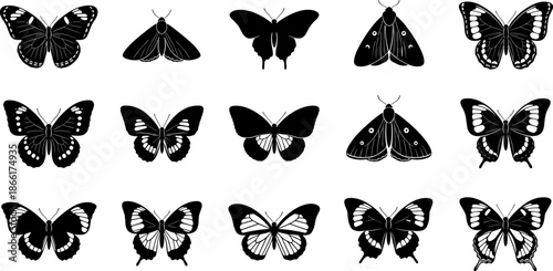 Butterfly and moth silhouettes vector collection, detailed winged insects in multiple shapes, black nature illustration set for wildlife, entomology, decorative design projects
