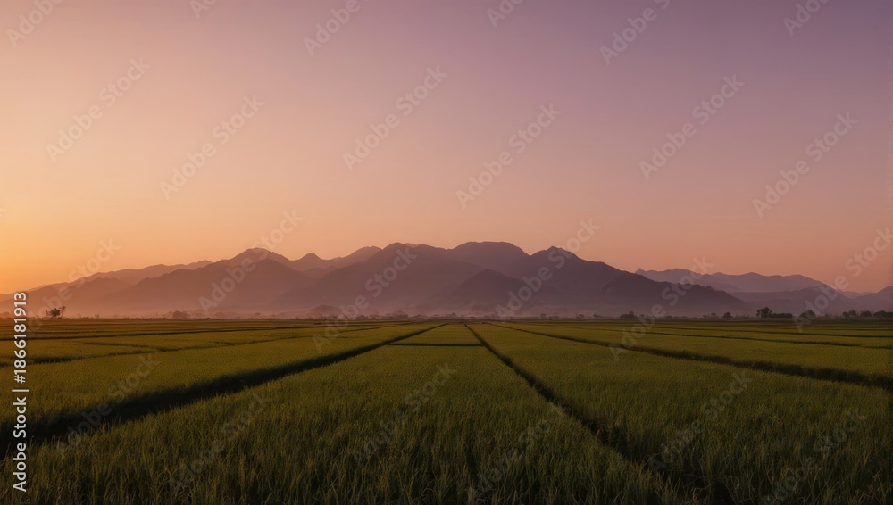 Obraz premium Fields of green, under a soft, hazy sunrise, with mountains in the distance