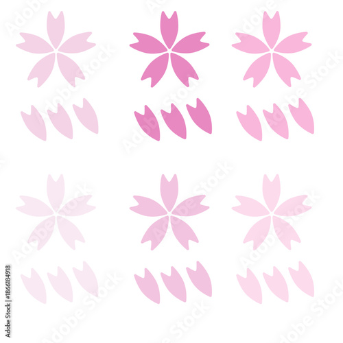 桜　セット