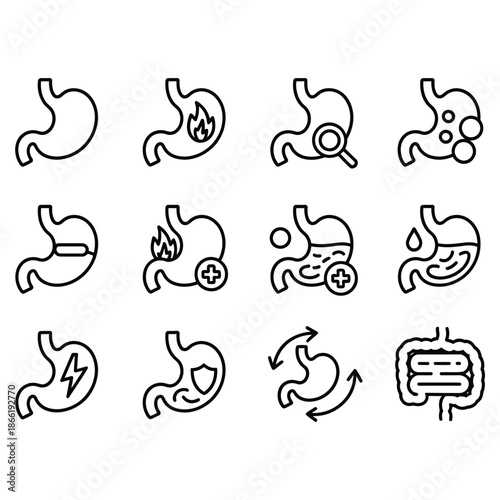 Stomach anatomy and digestive health icons for medical use