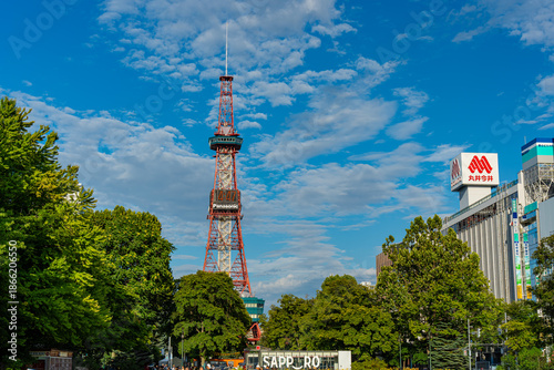 Fotografie 北海道　青空と札幌のさっぽろテレビ塔　大通公園