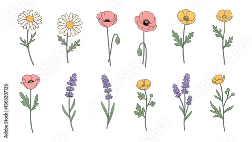 Floral Whispers: A delicate assortment of wildflowers, in a collection showcasing the beauty and diversity of nature. Perfect for adding a touch of floral charm.