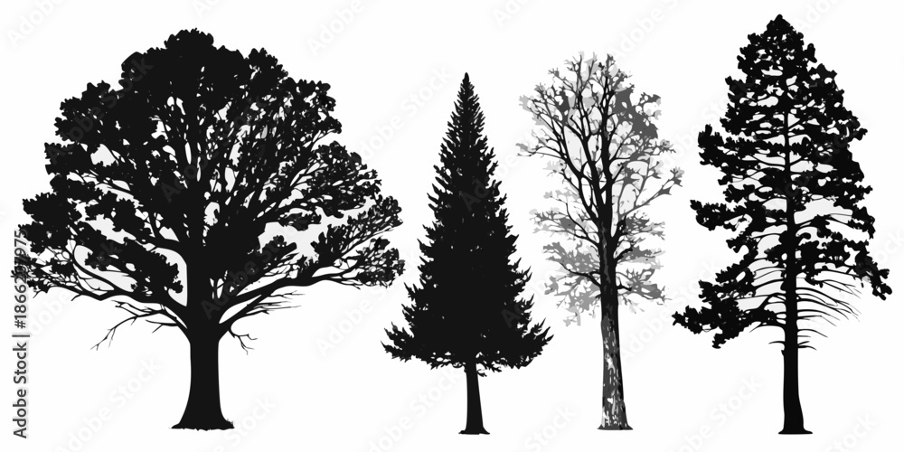 Fototapeta premium Silhouettes of various trees against a plain white background