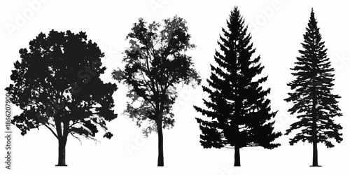 Silhouettes of diverse trees including deciduous and coniferous varieties
