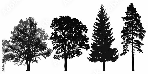 Silhouettes of various trees against a stark white background