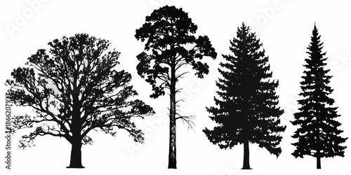 Silhouette collection of various coniferous and deciduous trees against a white background
