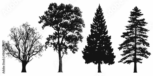 Silhouette collection of diverse trees including deciduous and coniferous types