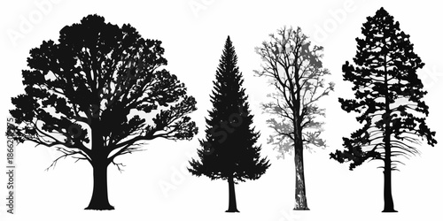 Silhouettes of various trees against a plain white background