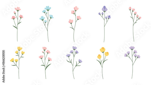 Floral Diversity: A collection of meticulously rendered floral specimens bursts with color, offering a vibrant palette of botanical beauty, showcasing intricate detail and delicate form.