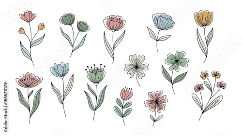 Floral Fantasy: A whimsical array of delicate flowers in full bloom. It's a botanical dreamscape. 