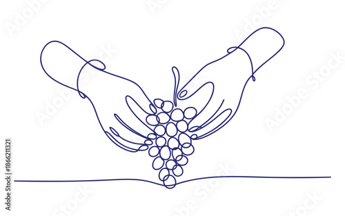 Two hands holding a cluster of grapes over a surface