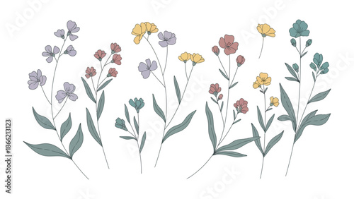 Blooming Botanical Beauty: An artistic illustration of delicate wildflowers in full bloom, showcasing vibrant colors and intricate details, celebrating the elegance of nature's artistry.