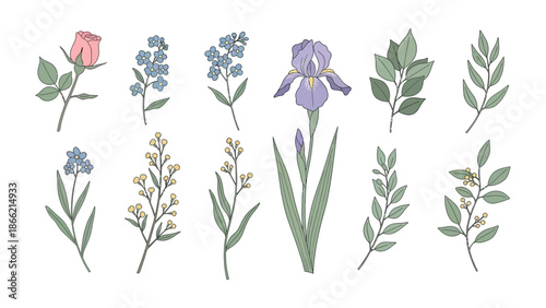 Floral Symphony: A delightful collection of delicate blooms and verdant foliage dance harmoniously, offering a visual symphony of colors and textures