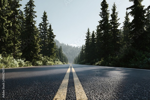 A winding asphalt road stretches through a dense evergreen forest landscape