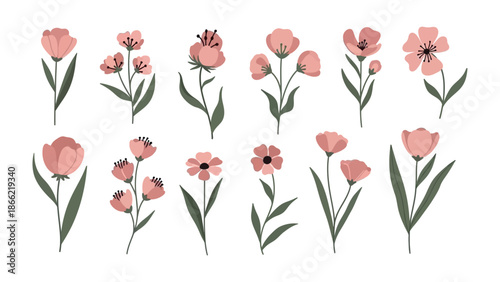 Blossom Collection: A selection of delicate pink flowers on slender stems, arranged in a visually pleasing assortment, showcasing the beauty of nature's artistry.