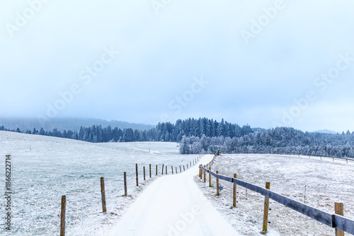 Quiet winter countryside with a snow-covered path leading through frosty fields toward a distant forest. Minimal rural landscape, soft light, calm atmosphere and ample copy space
