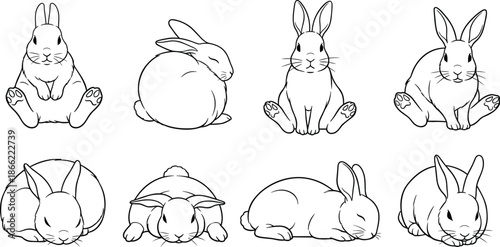 Complete collection of cute rabbit silhouettes featuring various bunny poses including sitting sleeping and resting in thin black line art style