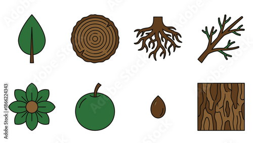 Nature & Botanical Elements Line Art Vector Set: Leaf, Trunk, Roots, Branch, Flower, Fruit, Seed, Bark Illustrations