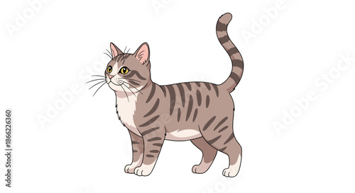 Realistic illustration of a cute gray and white striped tabby cat standing and looking curious on a plain white background.