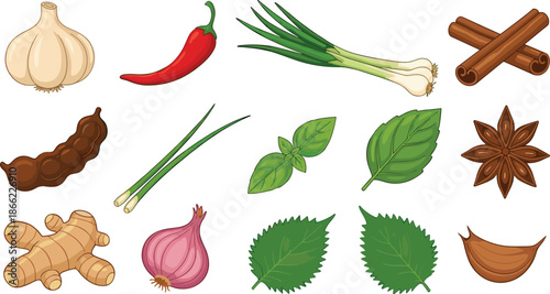 High quality vector illustration set of common kitchen spices and herbs including garlic chili ginger cinnamon star anise onion and fresh green leaves